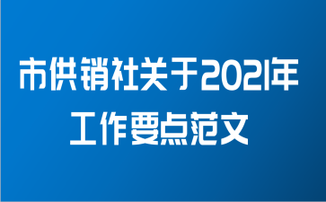 市供销社关于2021年工作要点范文