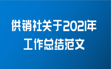 供销社关于2021年工作总结范文