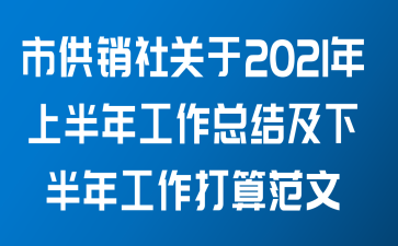 市供销社关于2021年上半年工作总结及下半年工作打算范文