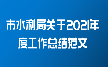 市水利局关于2021年度工作总结范文