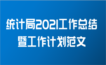 统计局2021工作总结暨工作计划范文