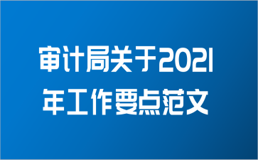 审计局关于2021年工作要点范文