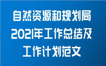 自然资源和规划局2021年工作总结及工作计划范文