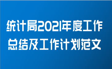 统计局2021年度工作总结及工作计划范文